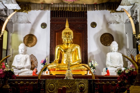Zahntempel in Kandy. Quelle: vili - Fotolia.com