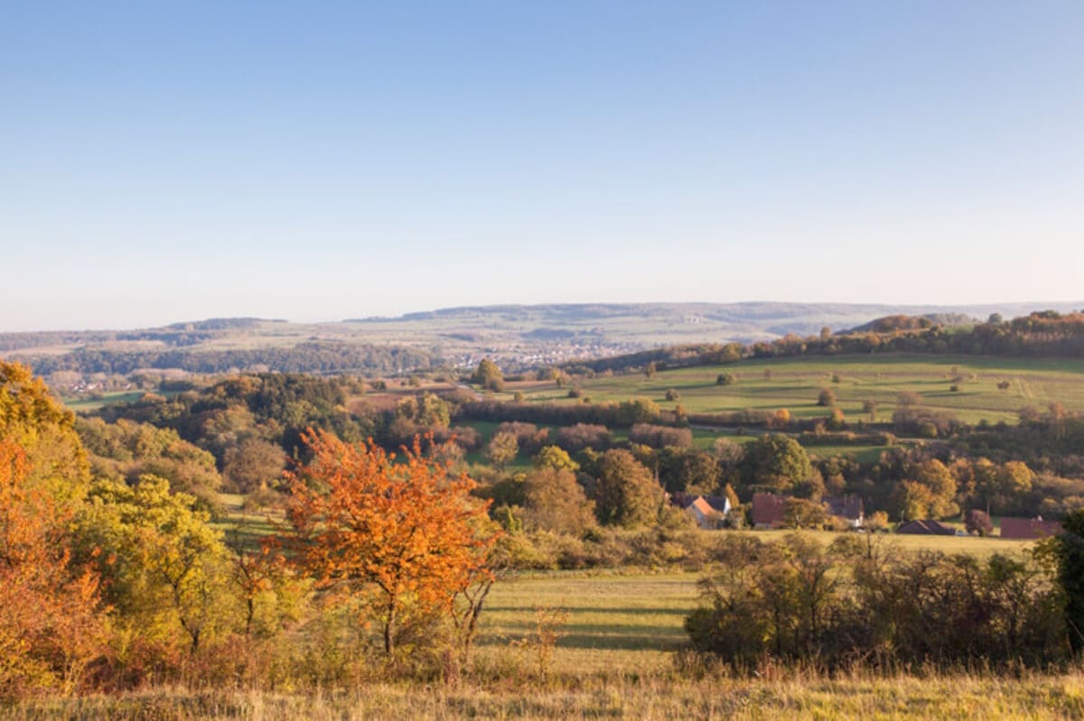 Herbstimpressionen aus dem Saarland